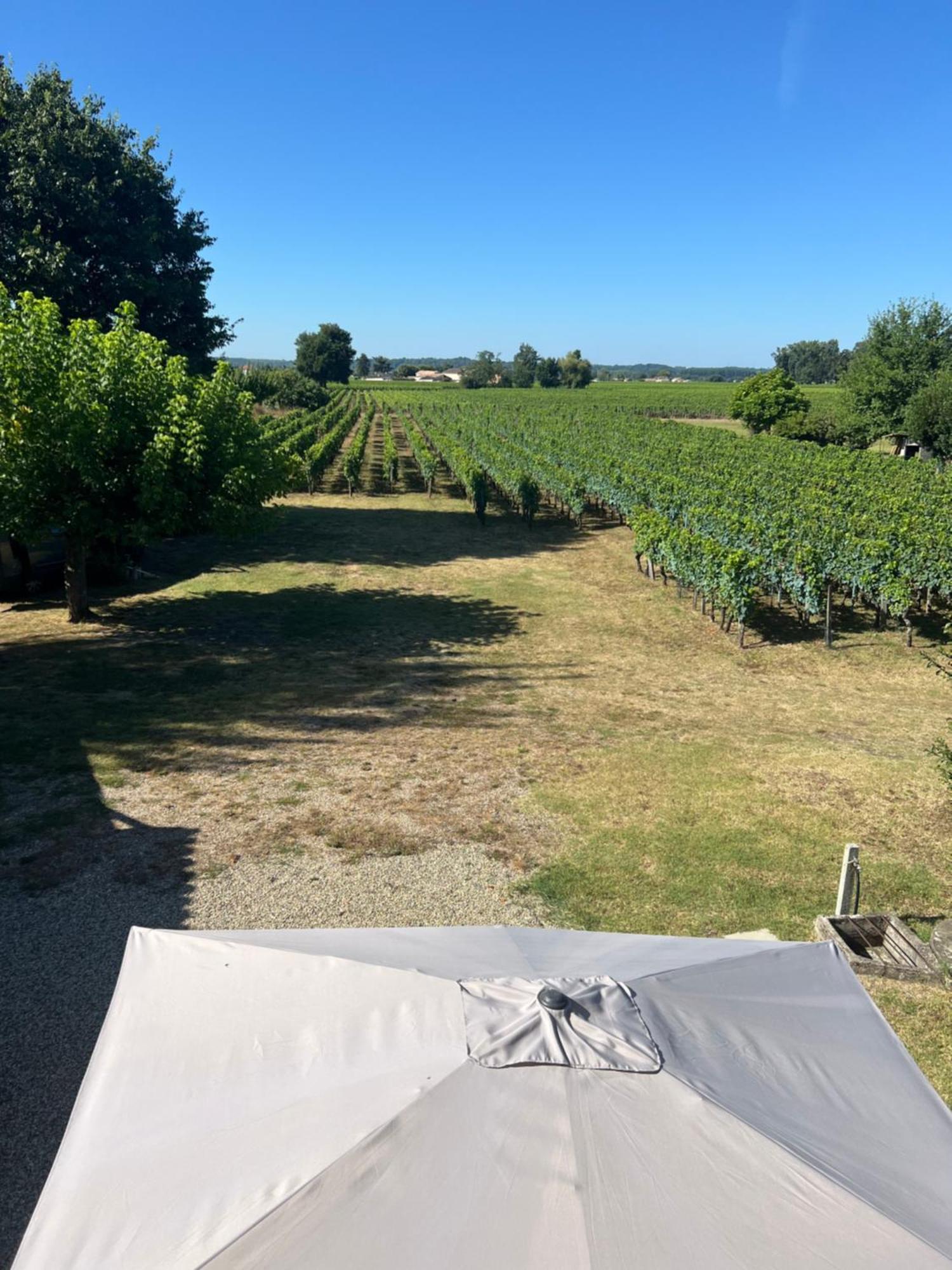 Gite Le Clos Saint-Sulpice-de-Faleyrens Exteriör bild